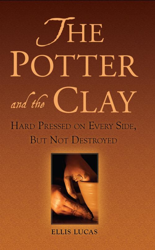 Cover of the book The Potter and the Clay by Ellis Lucas, Peggi Lucas, Pearl Press