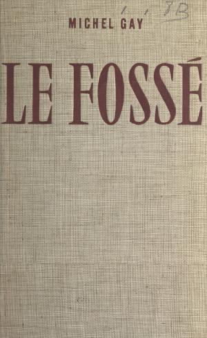 Cover of the book Le fossé by Albert Memmi