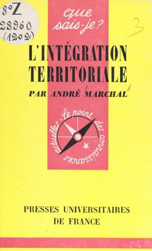 Cover of the book L'intégration territoriale by Yves Michaud