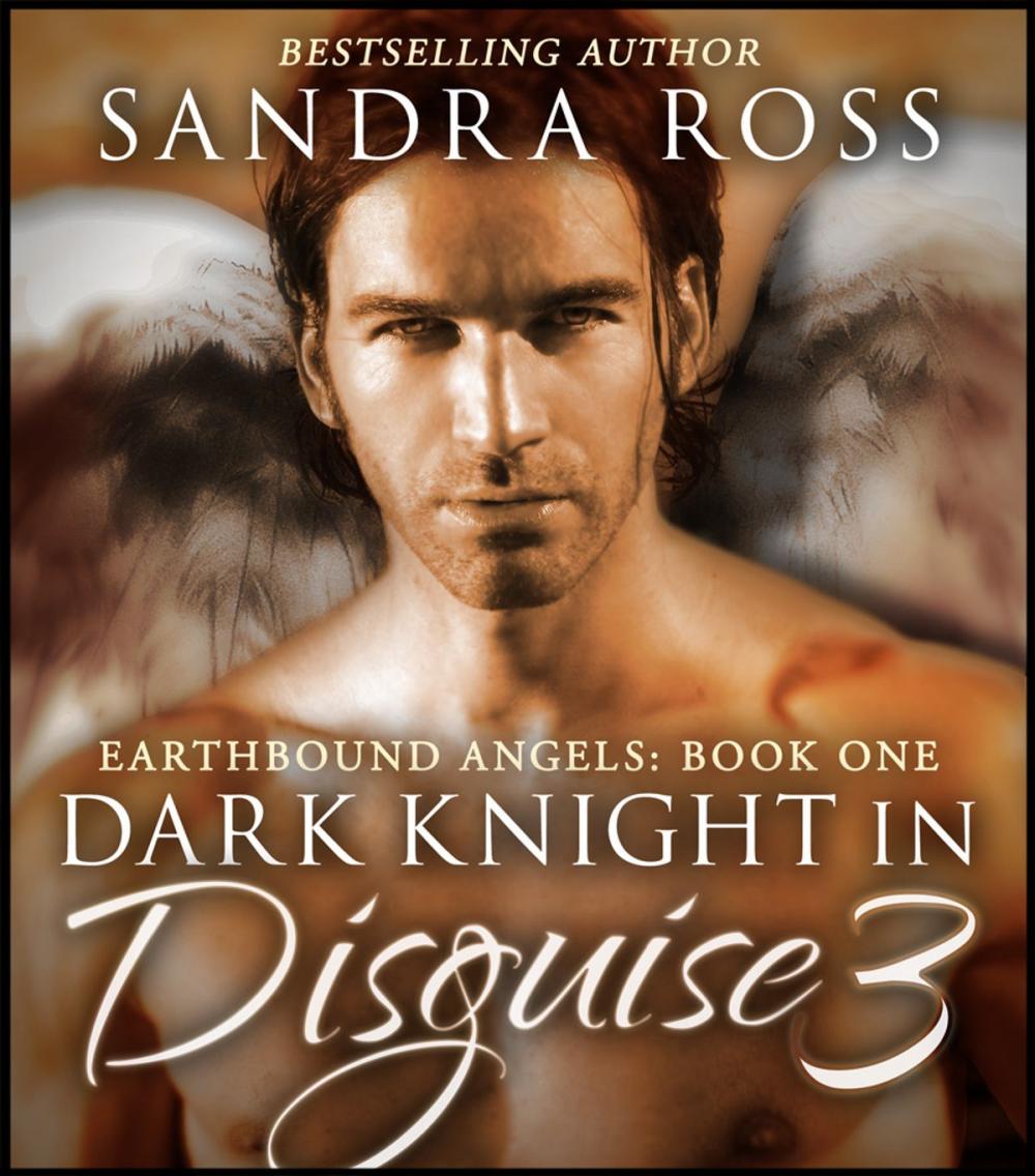 Big bigCover of Dark Knight in Disguise 3: Earthbound Angels Book 1