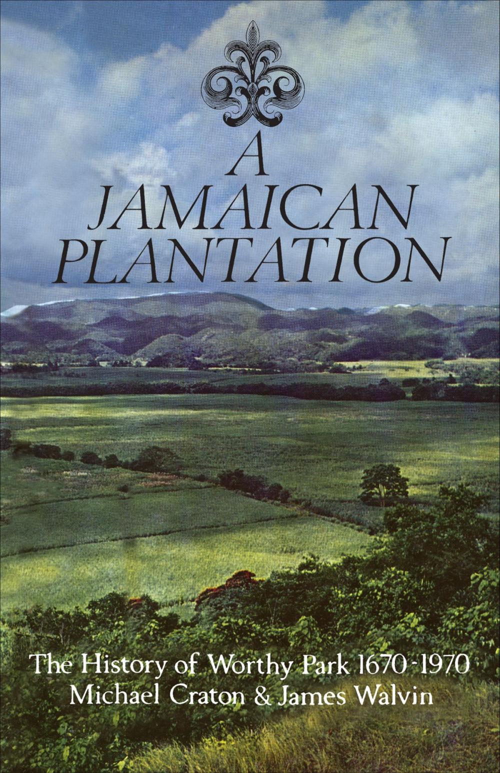 Big bigCover of A Jamaican Plantation