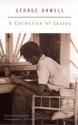Cover of the book A Collection of Essays by Lalit Bhatt