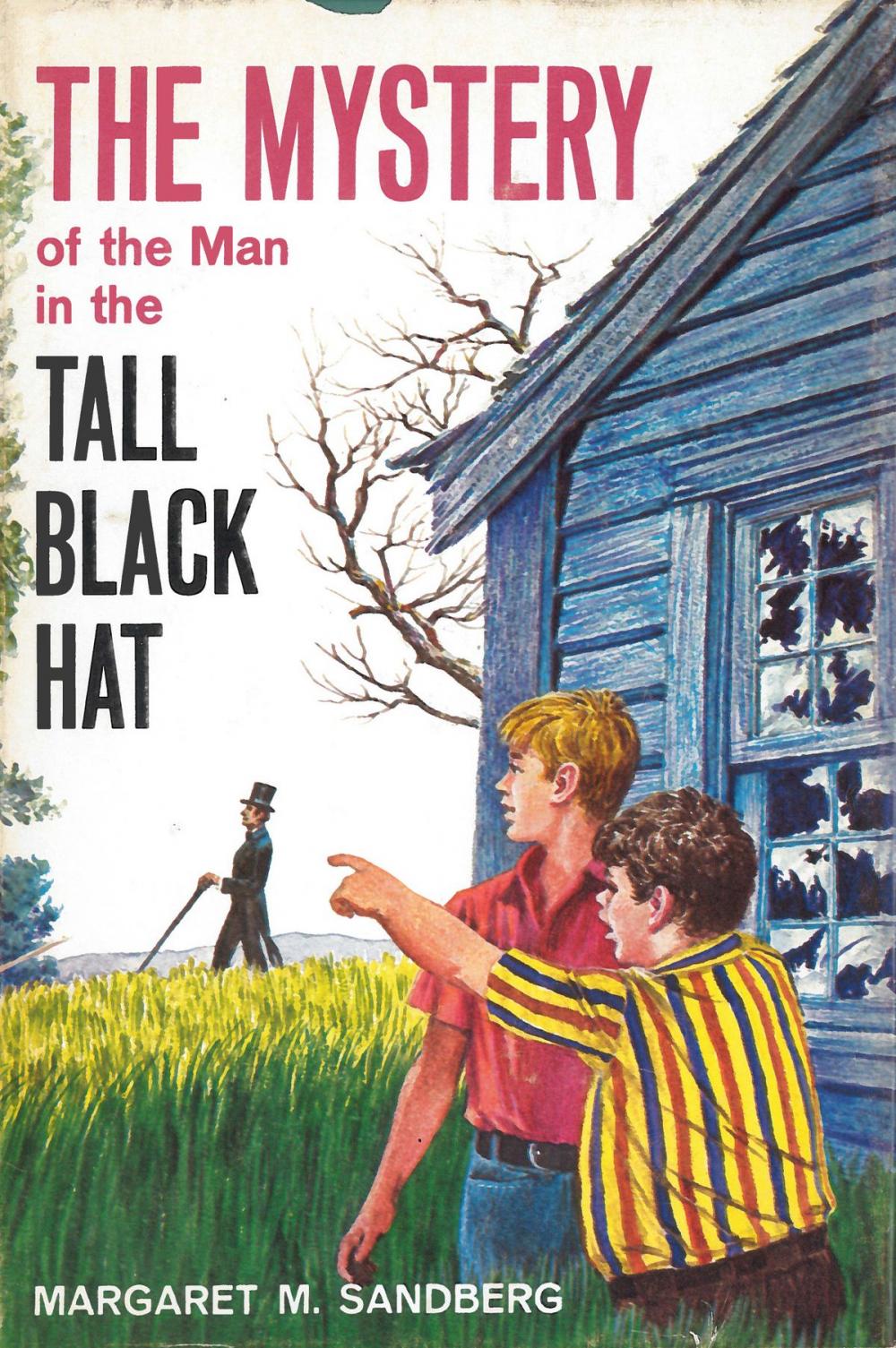 Big bigCover of The Mystery of the Man in the Tall Black Hat