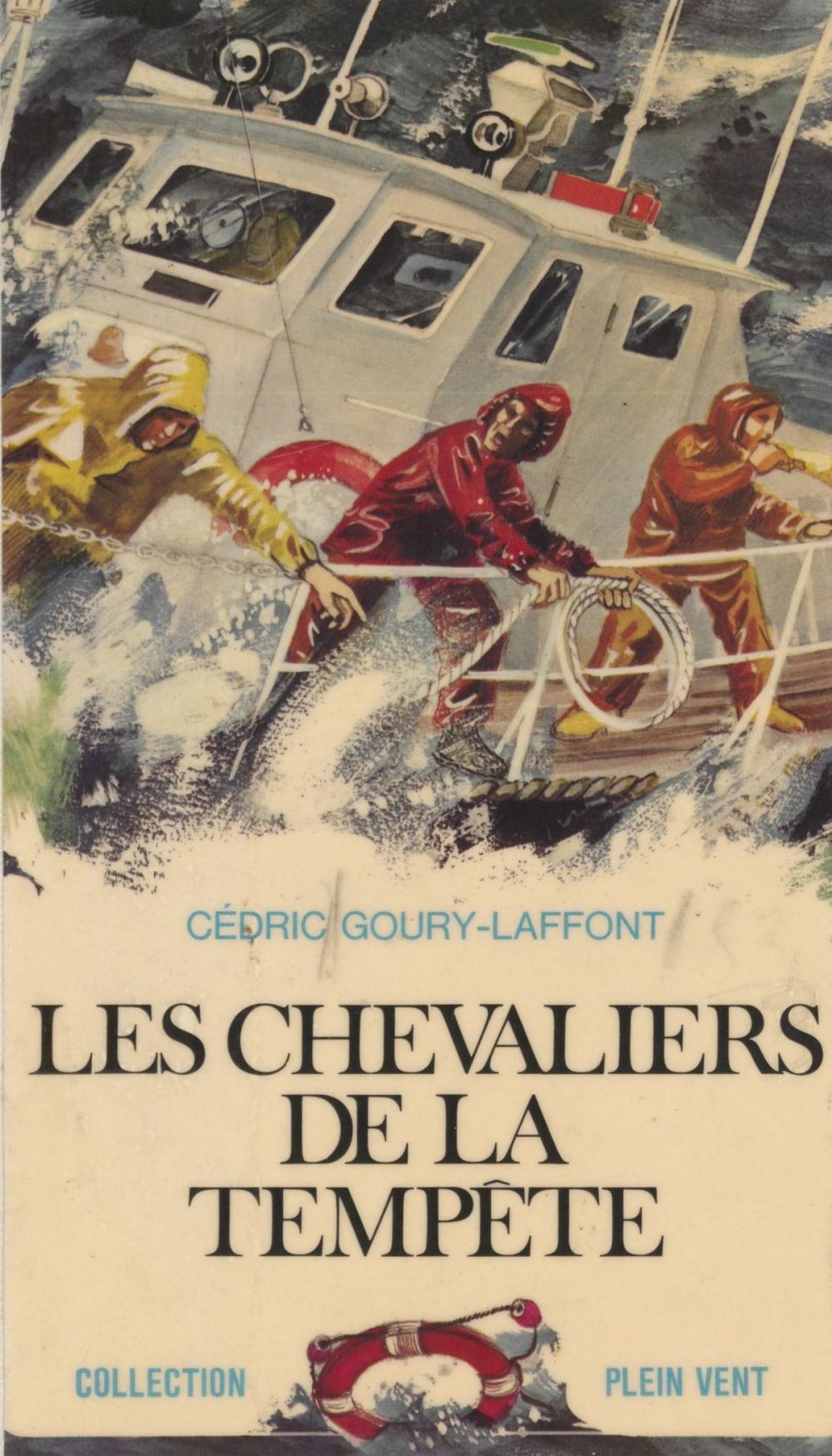 Big bigCover of Les chevaliers de la tempête