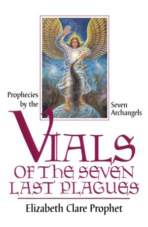 Cover of the book Vials of the Seven Last Plagues by Momi Zanda