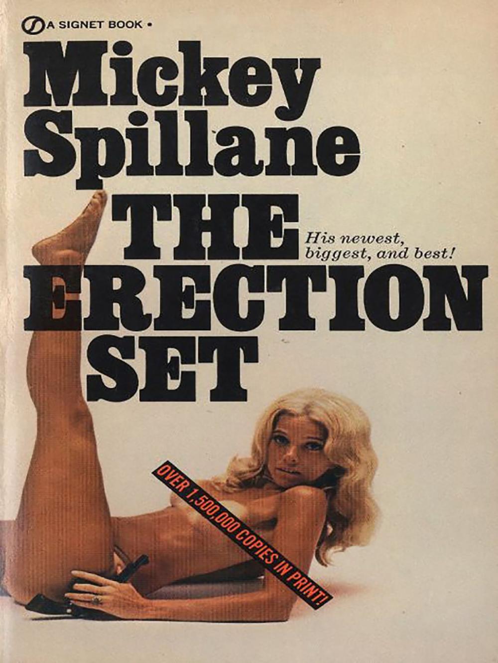 Big bigCover of The Erection Set