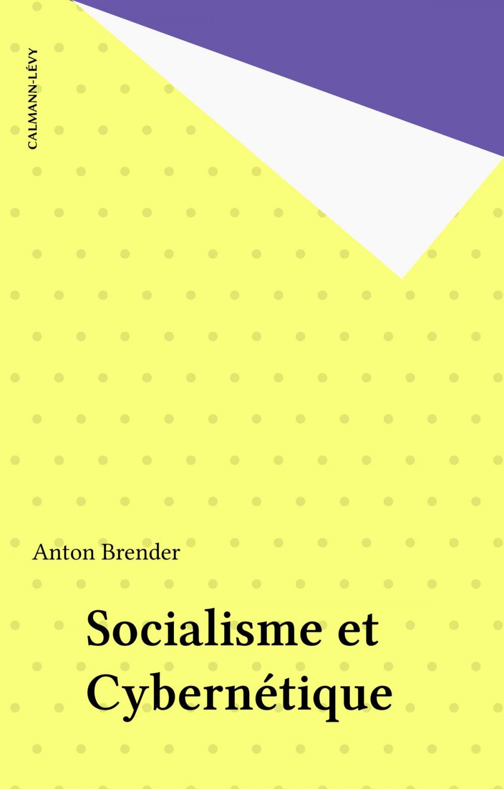 Big bigCover of Socialisme et Cybernétique