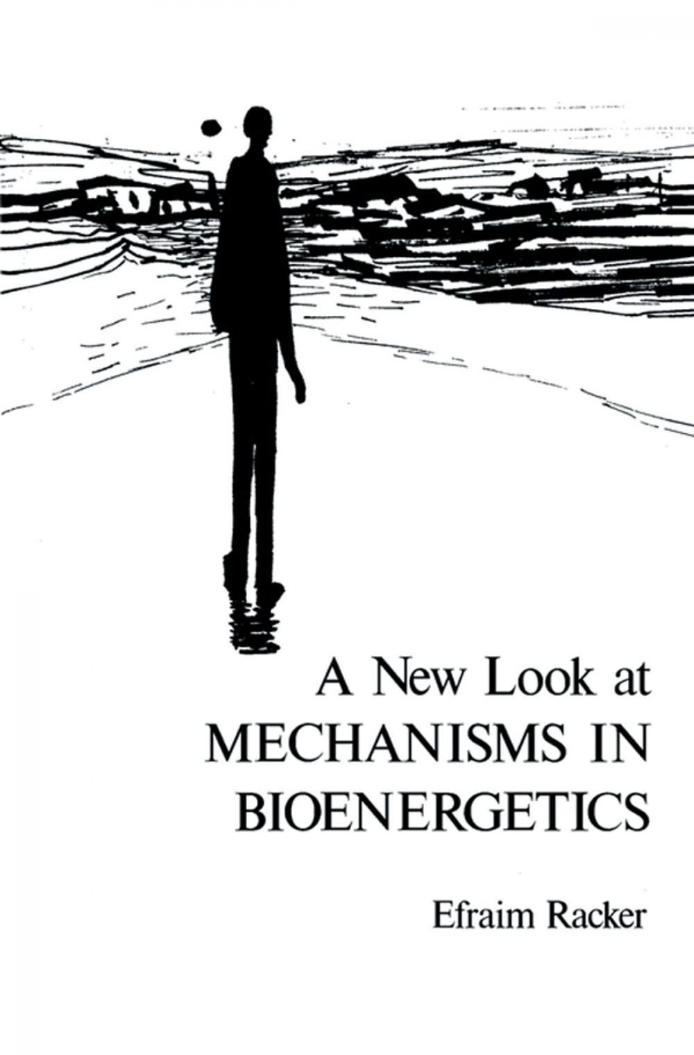 Big bigCover of A New Look at Mechanisms in Bioenergetics