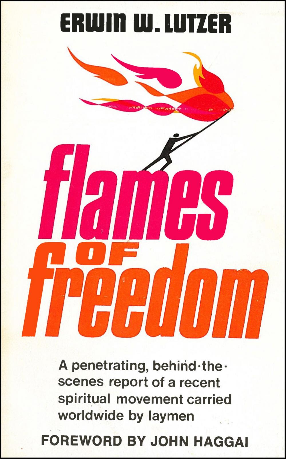 Big bigCover of Flames of Freedom