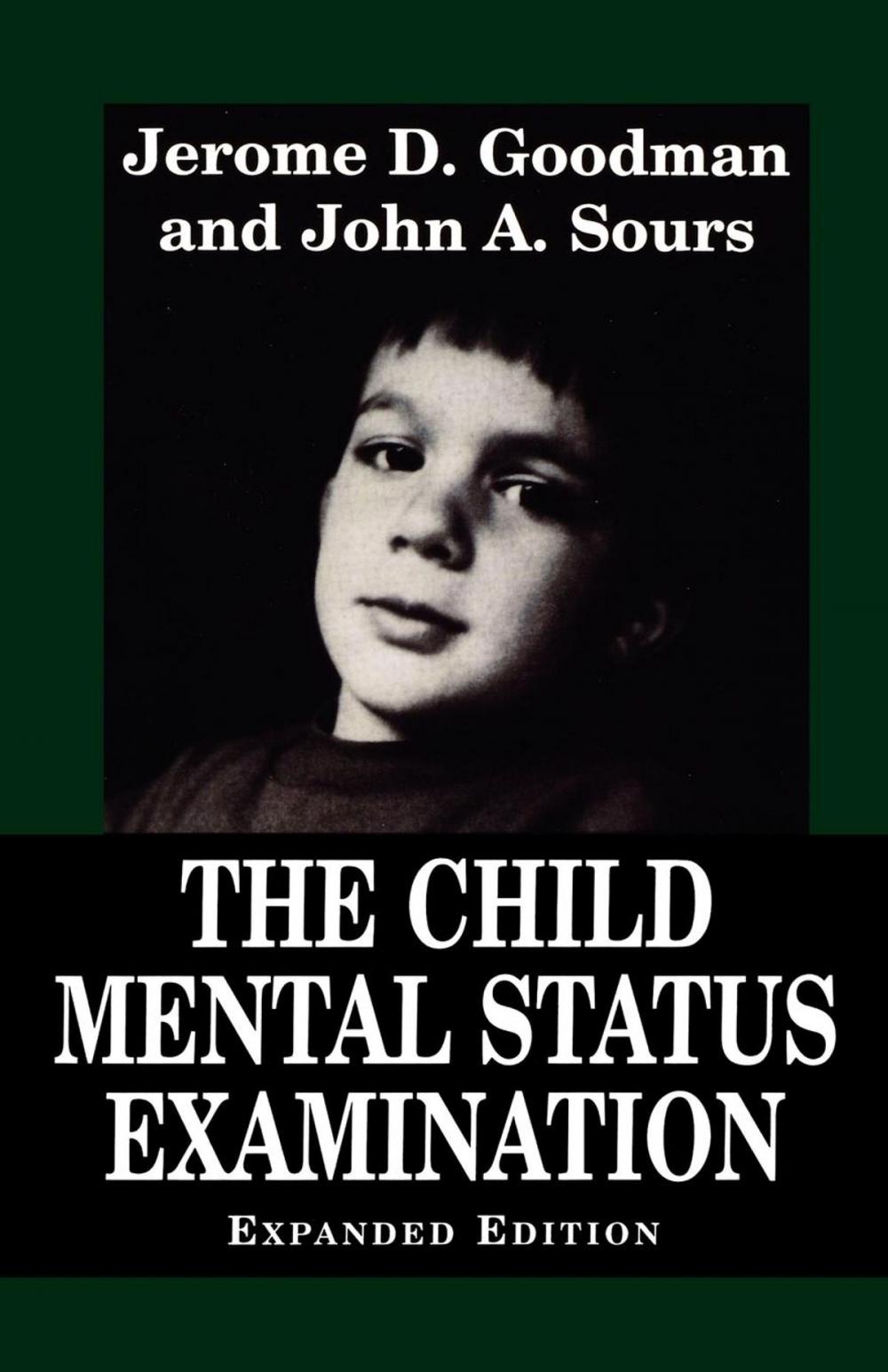 Big bigCover of Child Mental Status Examination