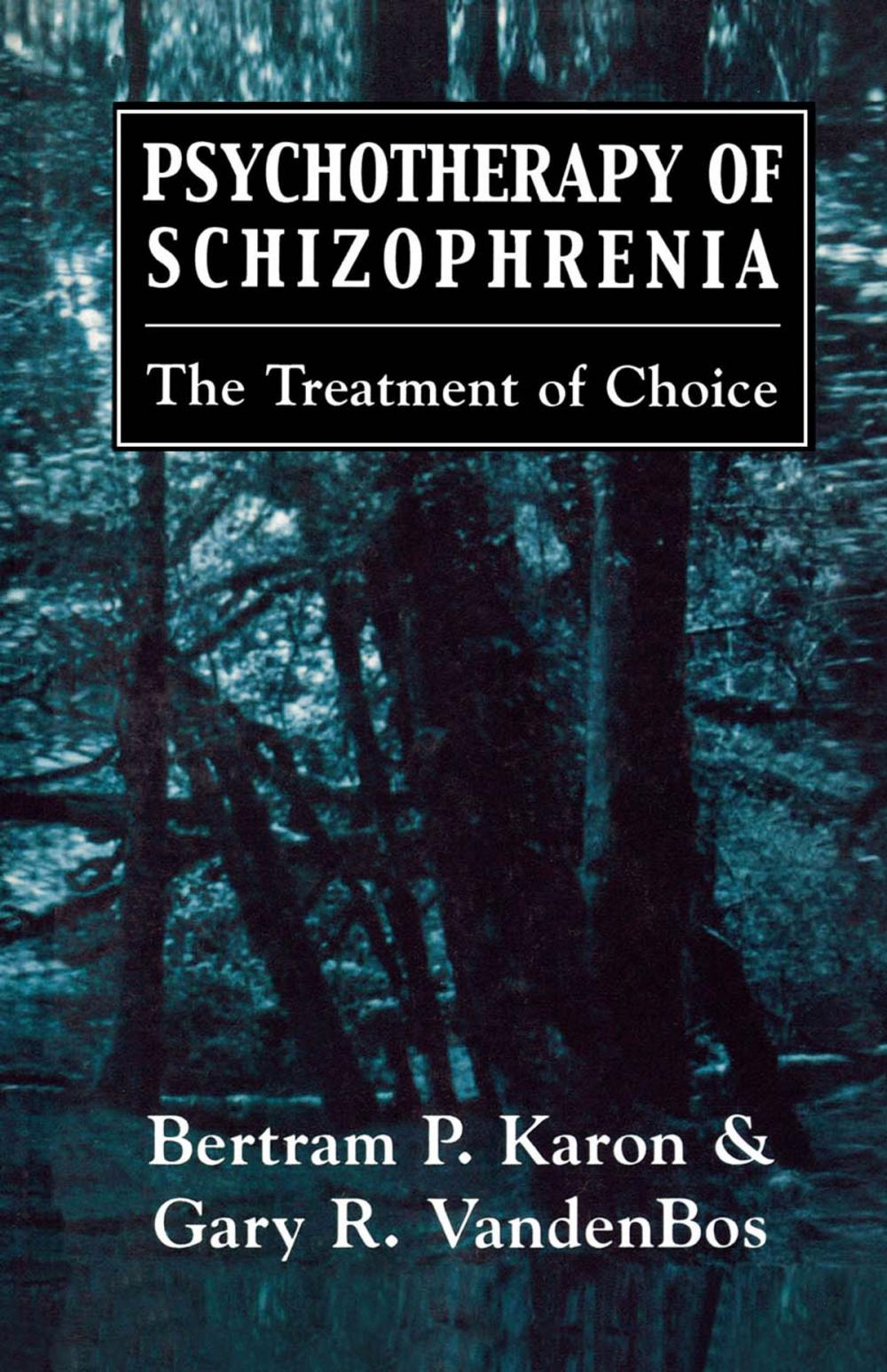 Big bigCover of Psychotherapy of Schizophrenia