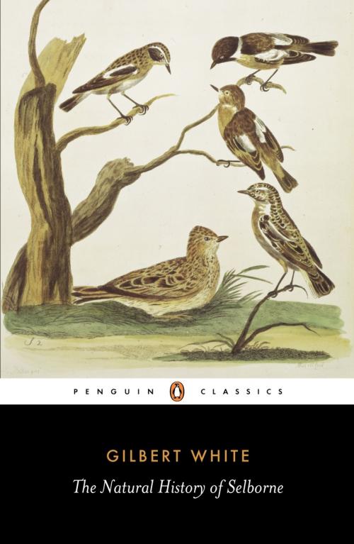 Cover of the book The Natural History of Selborne by Gilbert White, Penguin Books Ltd