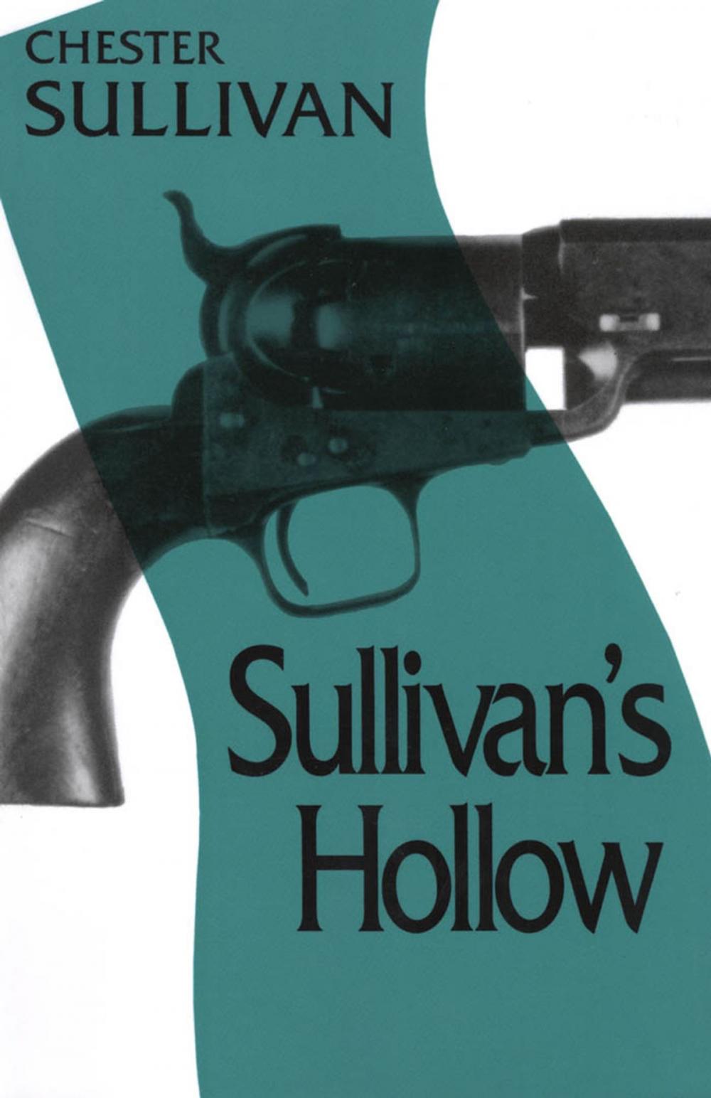 Big bigCover of Sullivan's Hollow