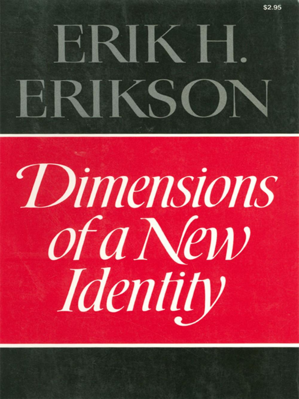 Big bigCover of Dimensions of a New Identity