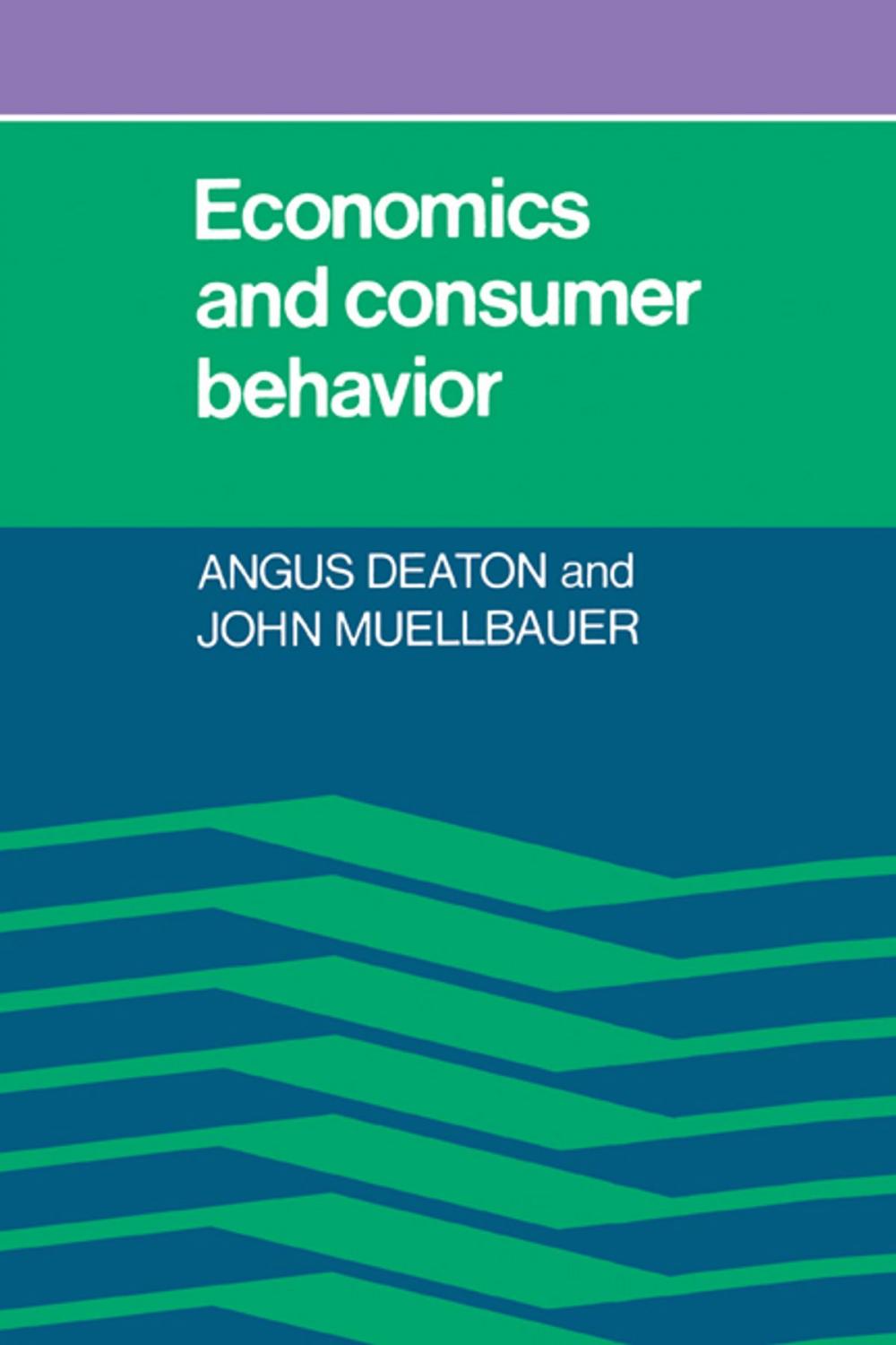 Big bigCover of Economics and Consumer Behavior