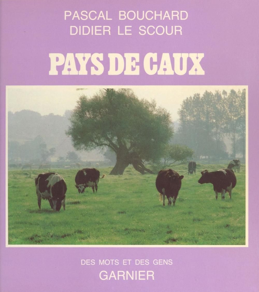 Big bigCover of Pays de Caux