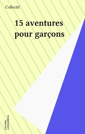 Book cover of 15 aventures pour garçons