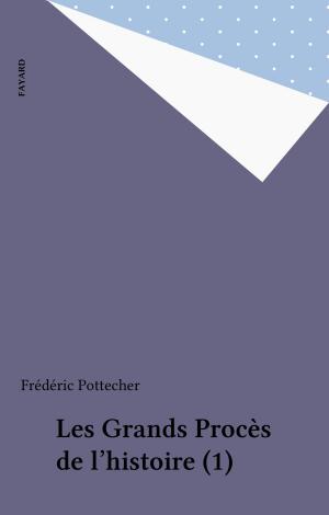 Cover of the book Les Grands Procès de l'histoire (1) by Ali Benmakhlouf