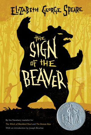 Cover of the book The Sign of the Beaver by Chris Van Allsburg