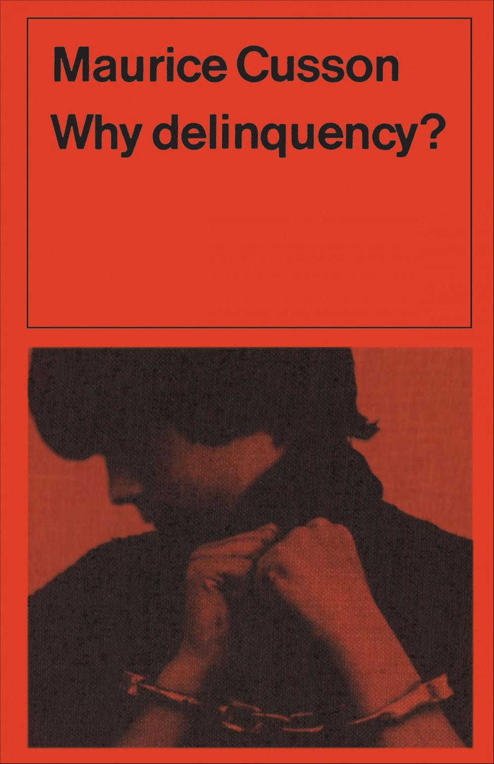 Big bigCover of Why Delinquency?