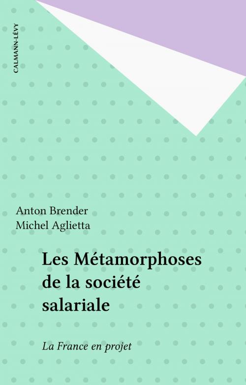 Cover of the book Les Métamorphoses de la société salariale by Anton Brender, Michel Aglietta, Calmann-Lévy (réédition numérique FeniXX)