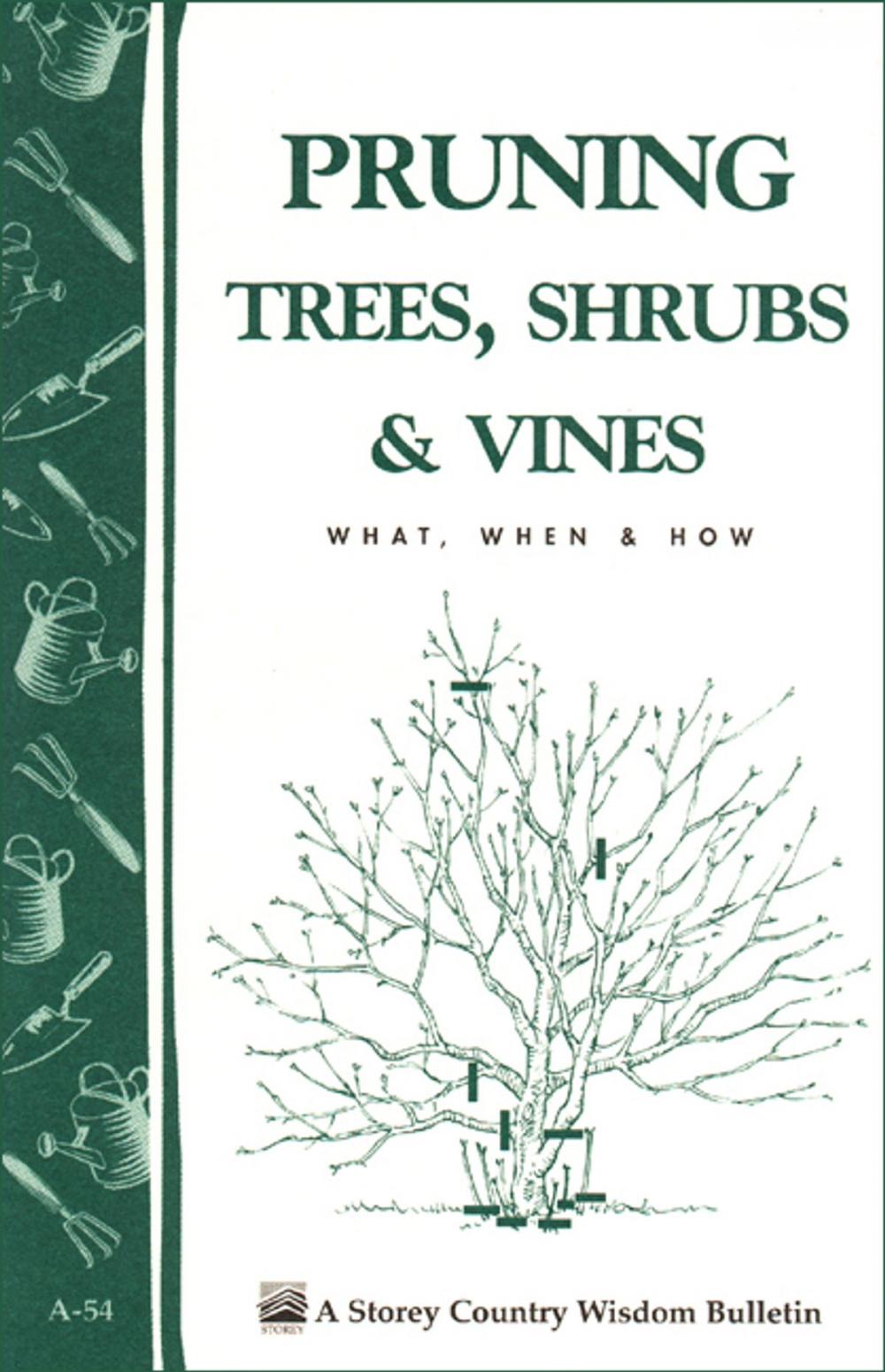 Big bigCover of Pruning Trees, Shrubs & Vines