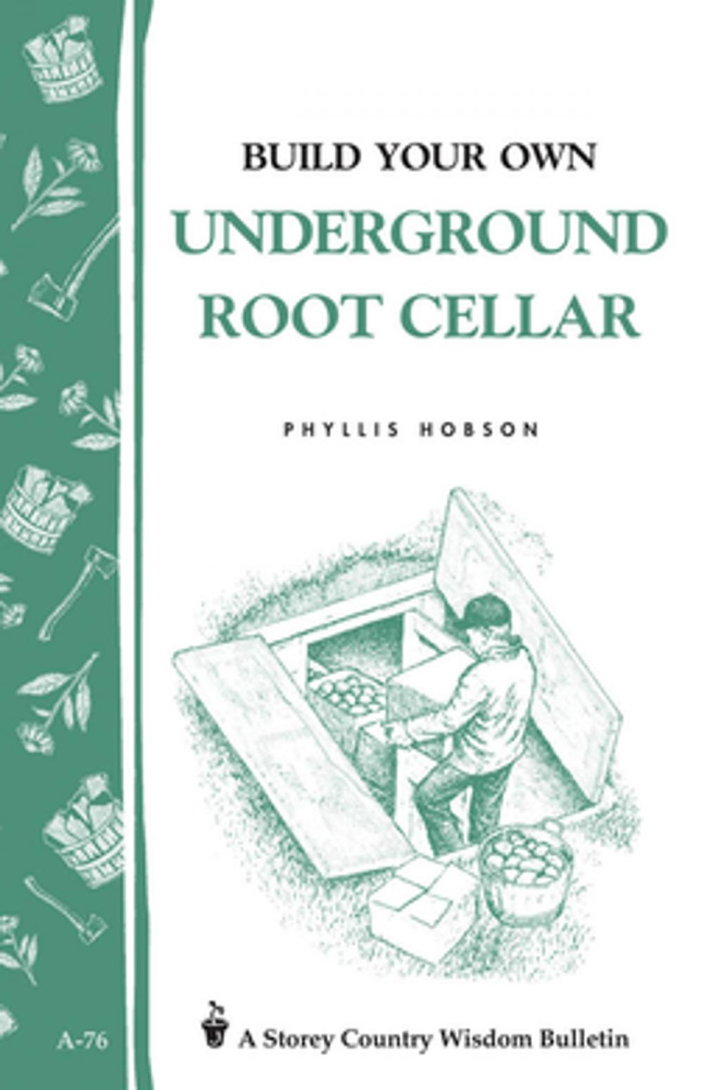 Big bigCover of Build Your Own Underground Root Cellar