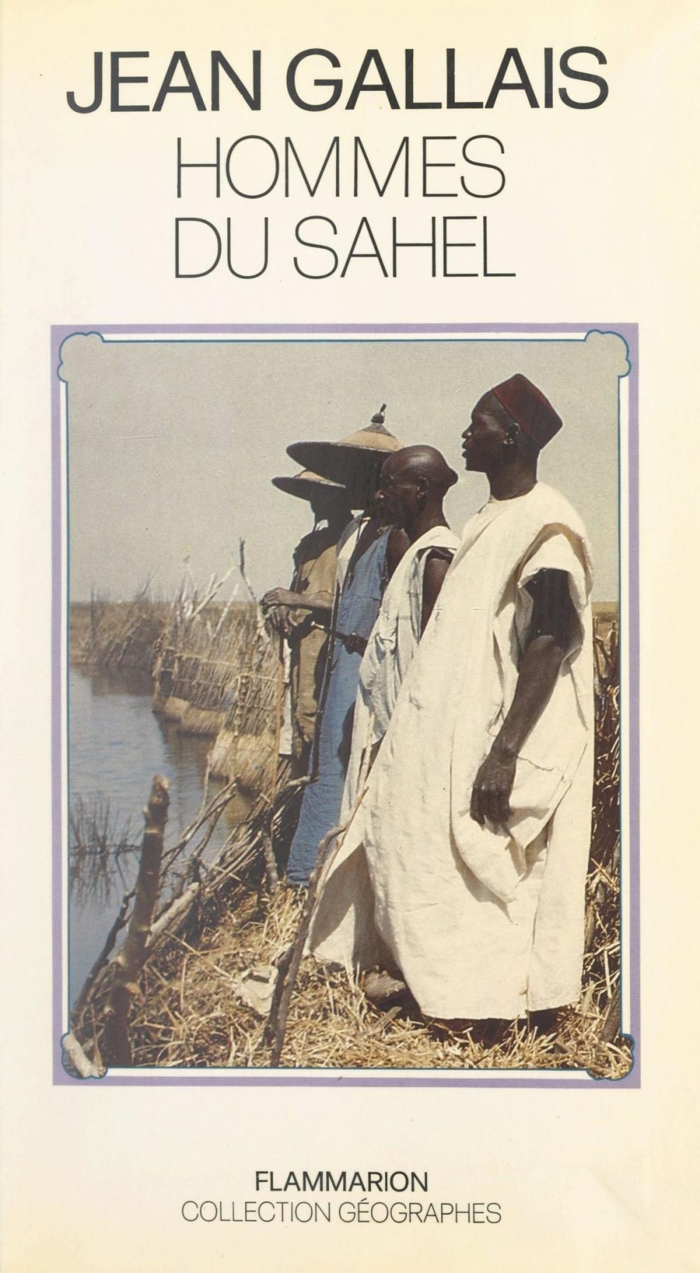 Big bigCover of Hommes du Sahel : espaces-temps et pouvoirs