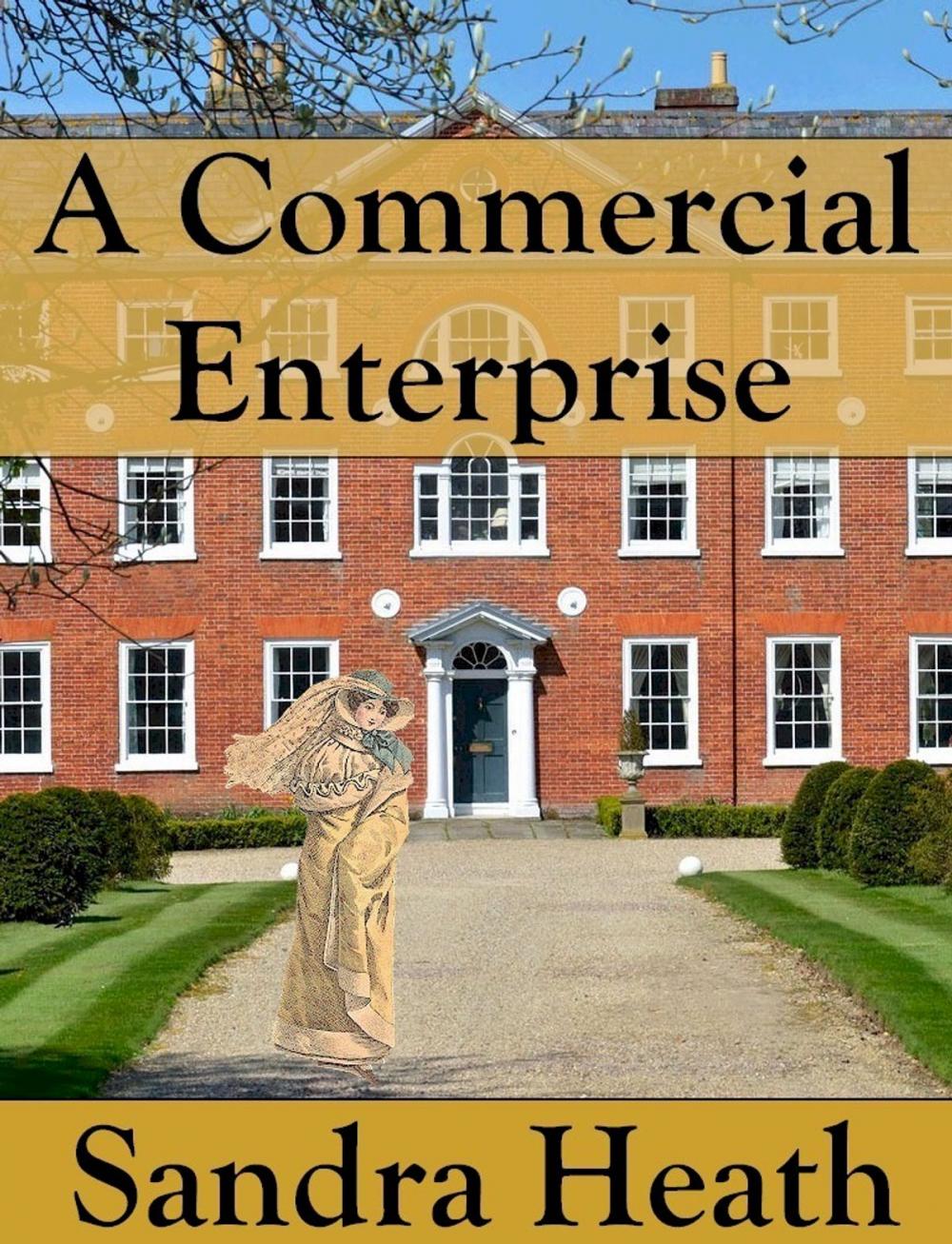 Big bigCover of A Commercial Enterprise