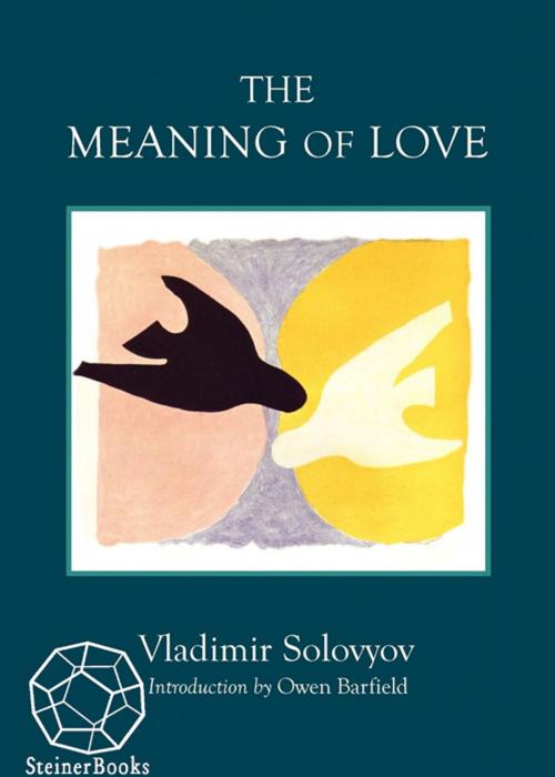 Cover of the book The Meaning of Love by Vladimir Solovyov, SteinerBooks