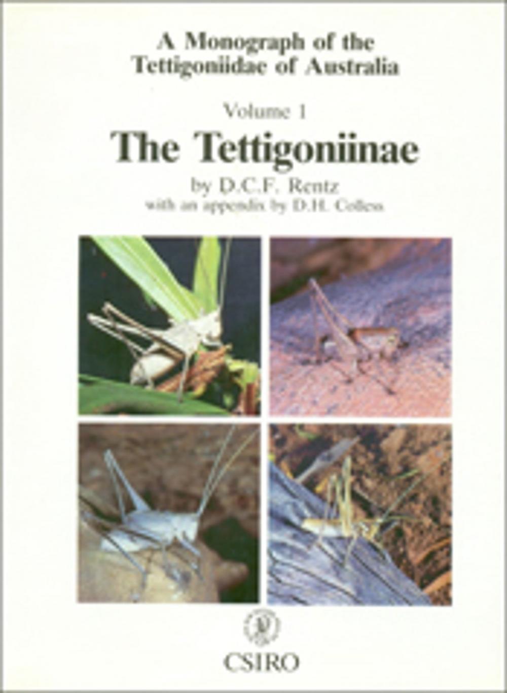 Big bigCover of Tettigoniidae of Australia Volume 1