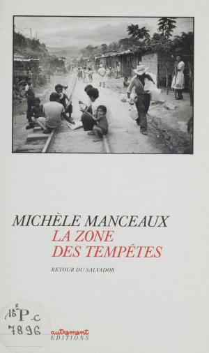 Cover of the book La Zone des tempêtes by Patrick Renou
