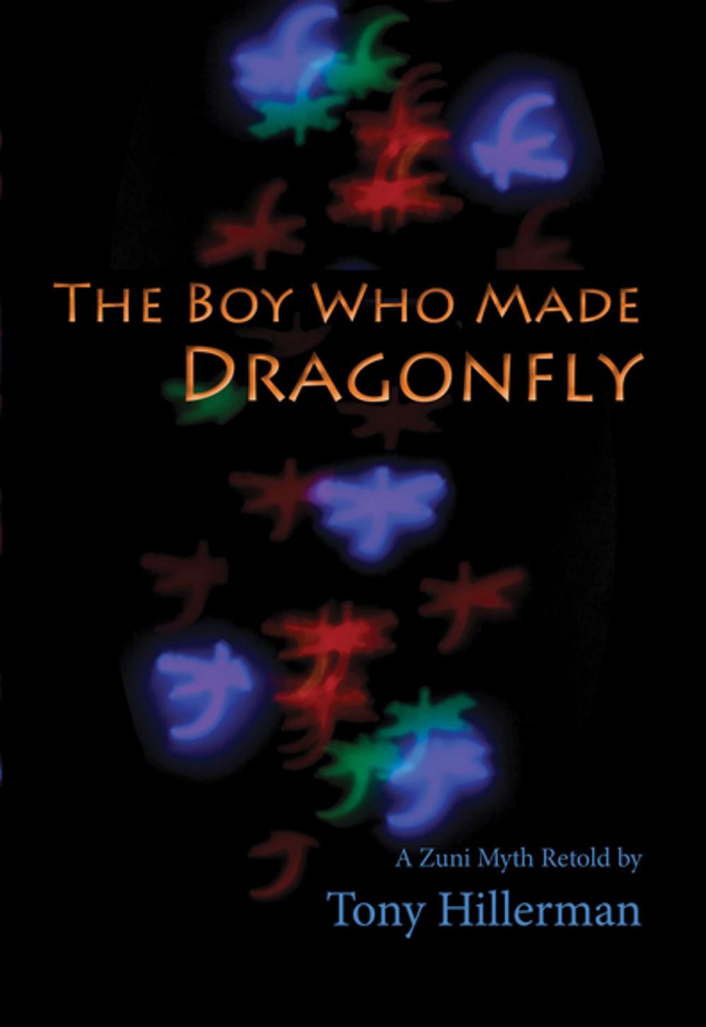 Big bigCover of The Boy Who Made Dragonfly