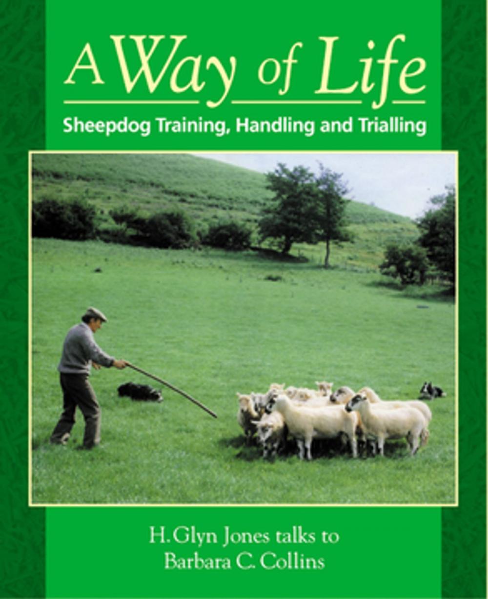 Big bigCover of Way of Life, A: Sheepdog Training, Handling and Trialling