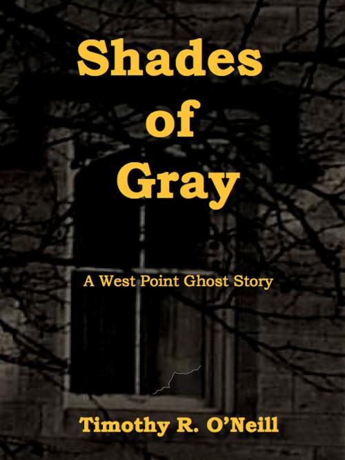 Cover of the book Shades of Gray by Timothy O'Neill, Publish Green