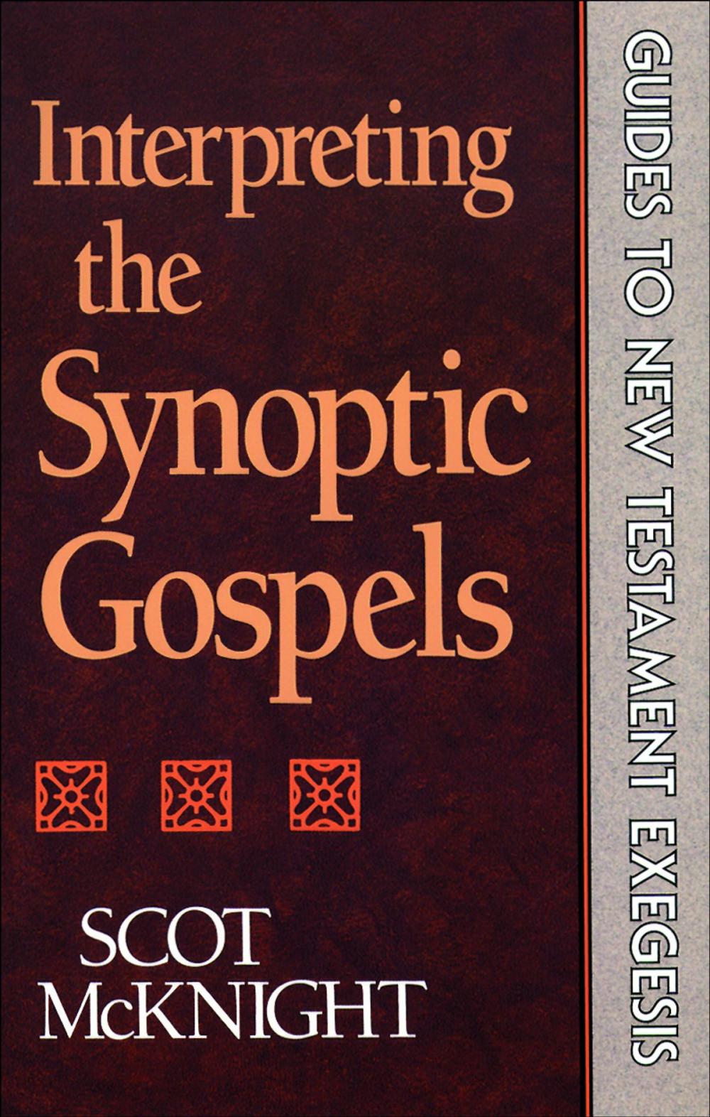 Big bigCover of Interpreting the Synoptic Gospels (Guides to New Testament Exegesis)