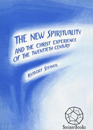 Book cover of The New Spirituality: And the Christ Experience of the Twentieth Century