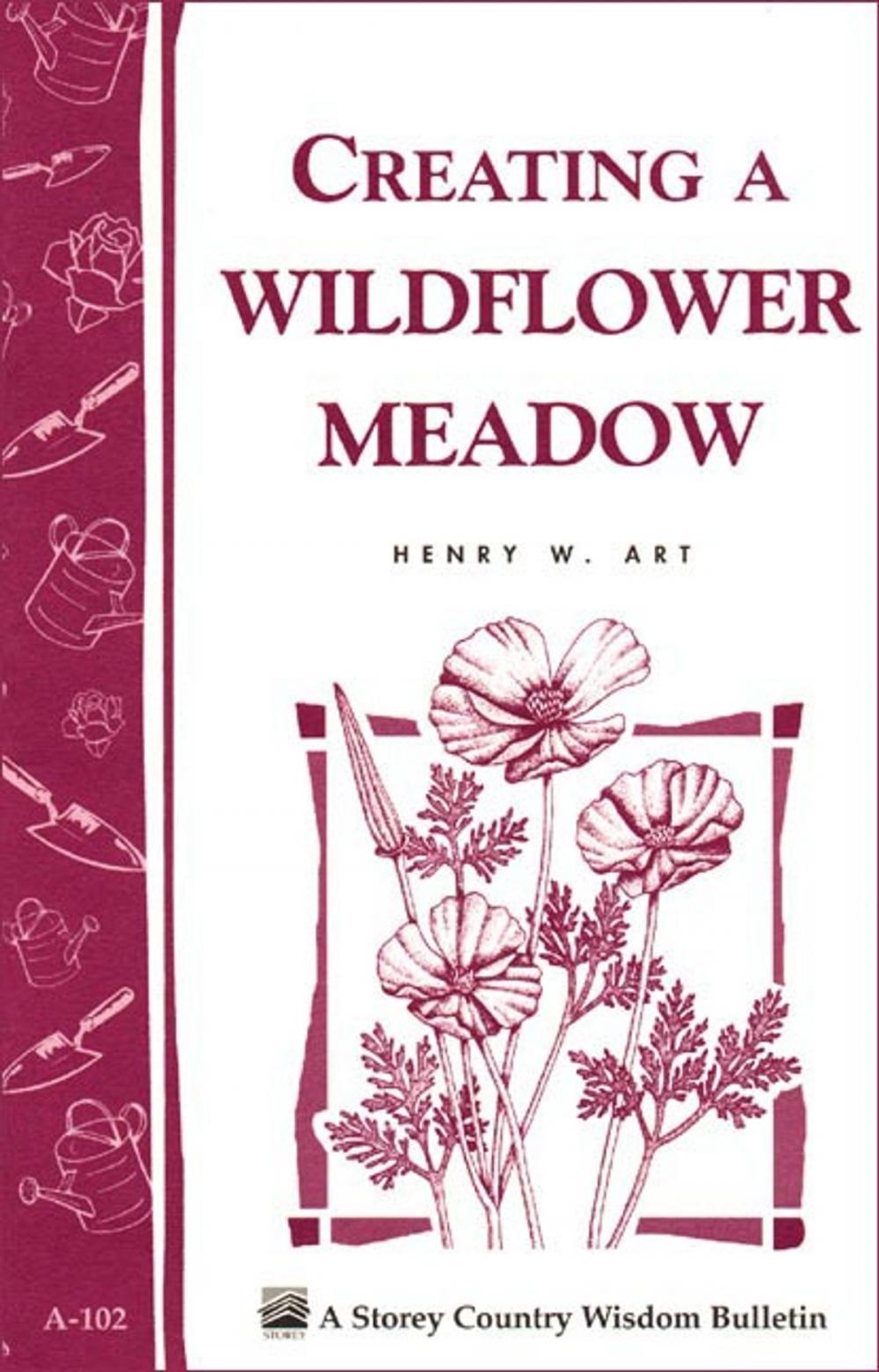 Big bigCover of Creating a Wildflower Meadow