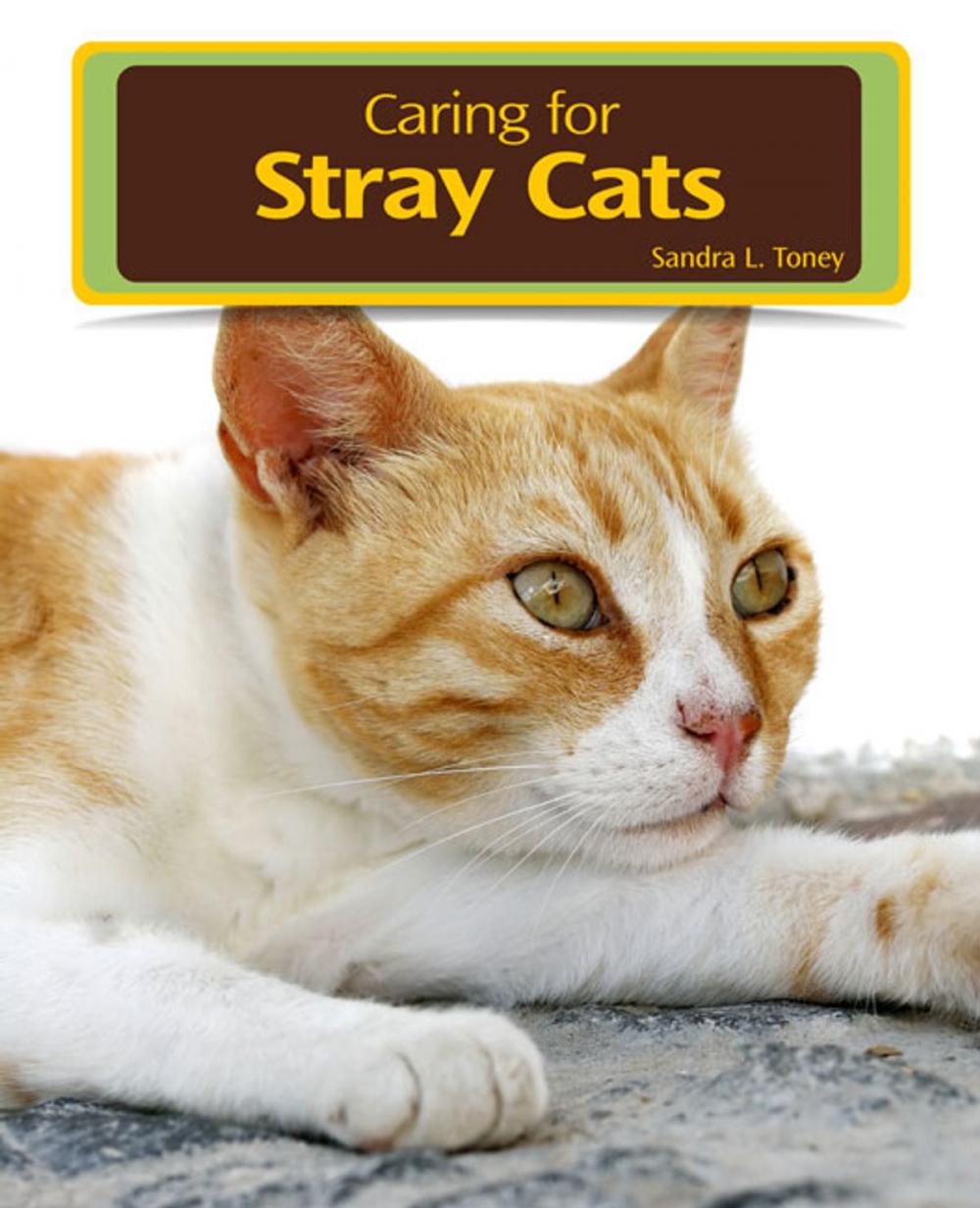 Big bigCover of Caring for Stray Cats