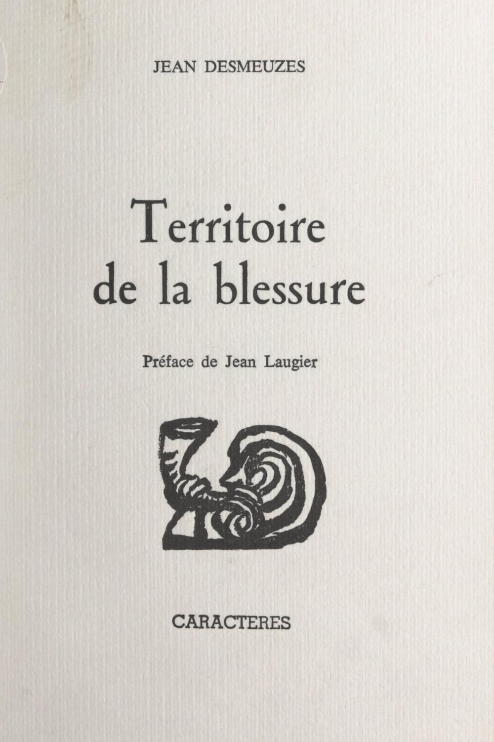 Big bigCover of Territoire de la blessure