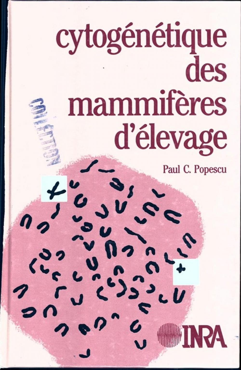 Big bigCover of Cytogénétique des mammifères d'élevage