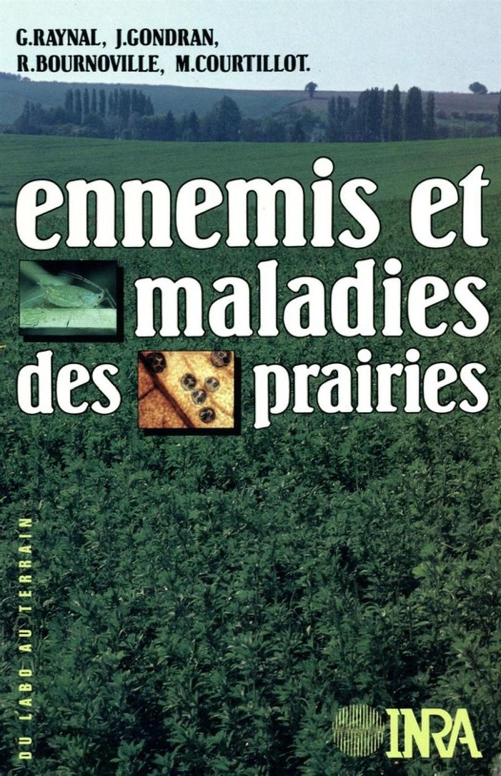 Big bigCover of Ennemis et maladies des prairies