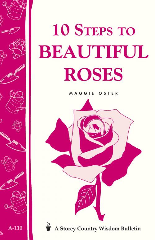 Cover of the book 10 Steps to Beautiful Roses by Maggie Oster, Storey Publishing, LLC