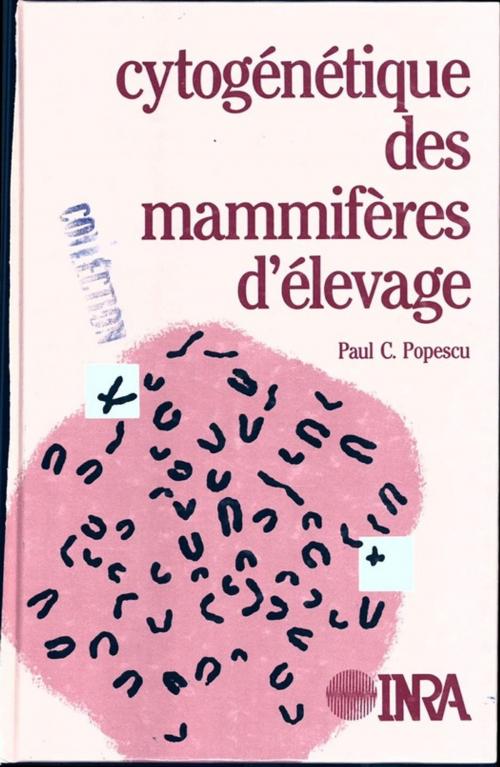 Cover of the book Cytogénétique des mammifères d'élevage by Paul Popescu, Quae