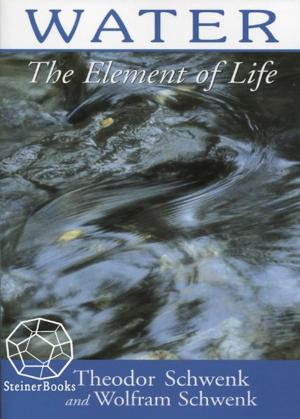 Cover of the book Water: The Element of Life by J. Leonard Benson