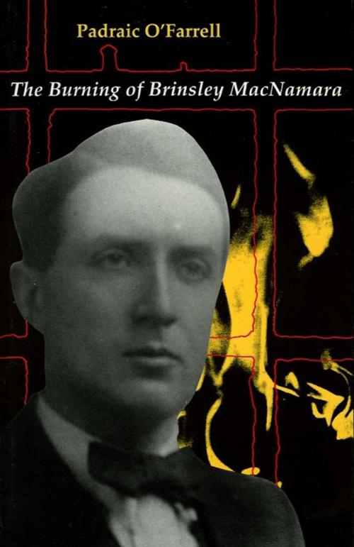 Cover of the book The Burning of Brinseley MacNamara by Padraic O' Farrell, The Lilliput Press