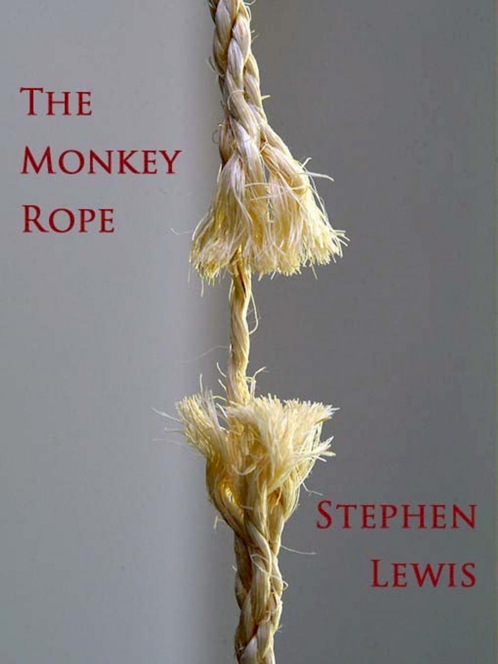 Big bigCover of The Monkey Rope