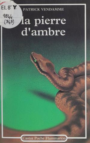 Cover of the book La Pierre d'ambre by André Coutin