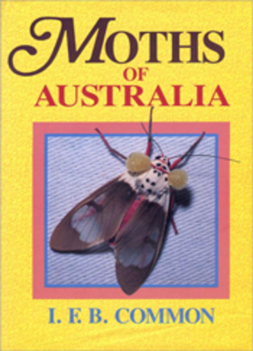 Big bigCover of Moths of Australia