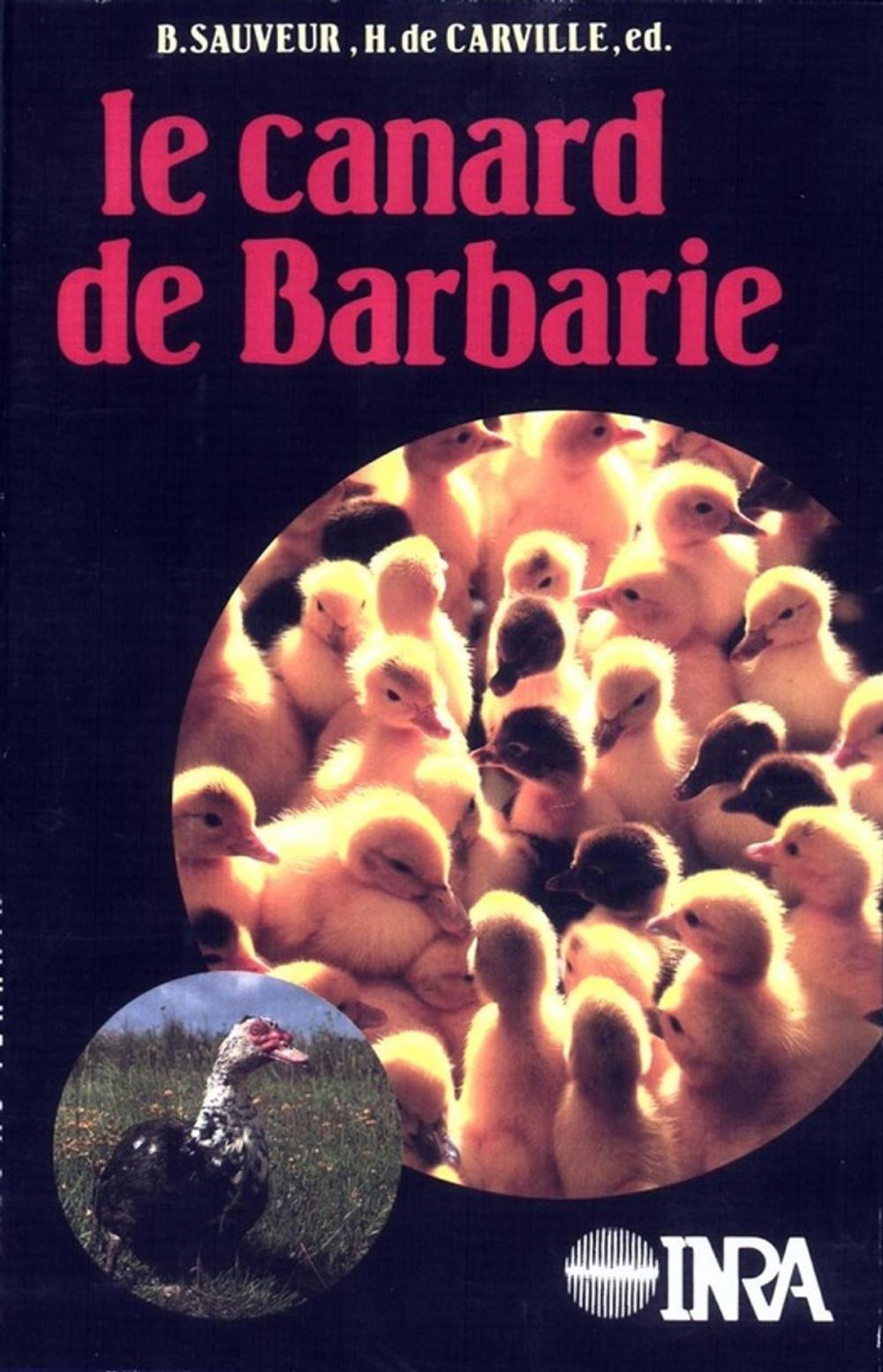 Big bigCover of Le canard de barbarie